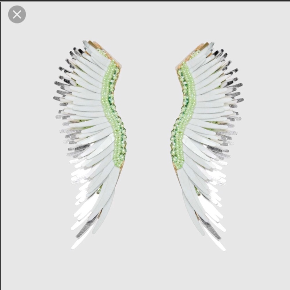 Mignonne Gavigan Earrings!